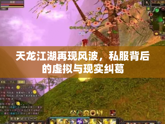 天龙江湖再现风波，私服背后的虚拟与现实纠葛