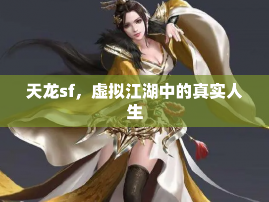 天龙sf，虚拟江湖中的真实人生