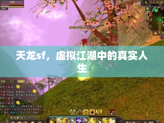 天龙sf，虚拟江湖中的真实人生