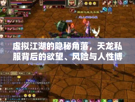 虚拟江湖的隐秘角落，天龙私服背后的欲望、风险与人性博弈