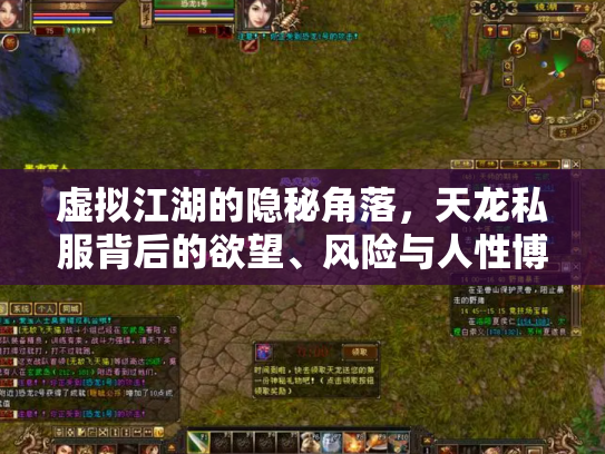 虚拟江湖的隐秘角落，天龙私服背后的欲望、风险与人性博弈