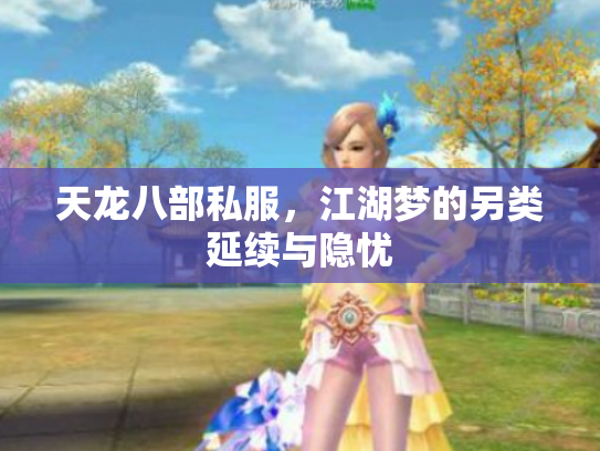 天龙八部私服，江湖梦的另类延续与隐忧