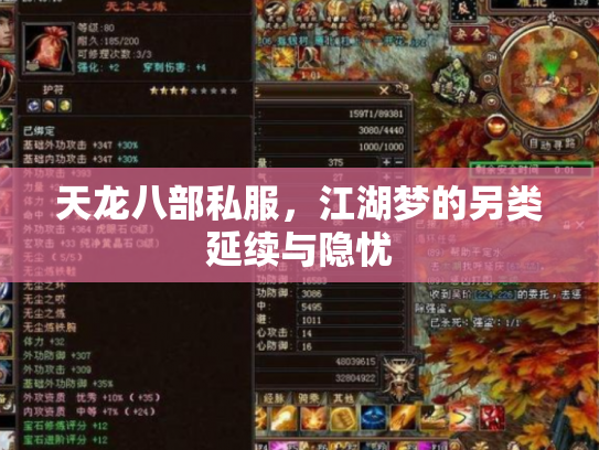 天龙八部私服，江湖梦的另类延续与隐忧