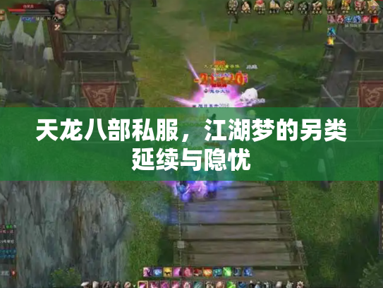 天龙八部私服，江湖梦的另类延续与隐忧
