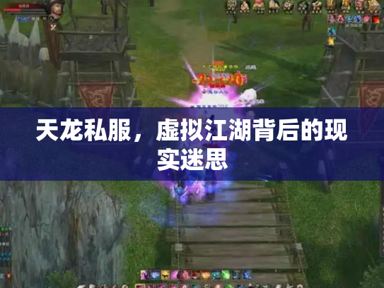 天龙私服，虚拟江湖背后的现实迷思