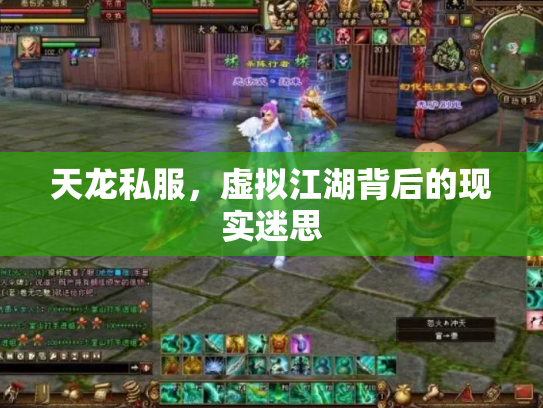 天龙私服，虚拟江湖背后的现实迷思