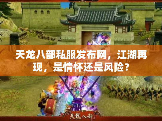 天龙八部私服发布网，江湖再现，是情怀还是风险？