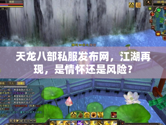 天龙八部私服发布网，江湖再现，是情怀还是风险？