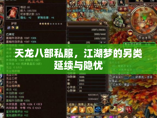 天龙八部私服，江湖梦的另类延续与隐忧