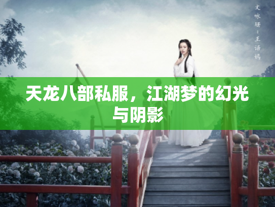 天龙八部私服，江湖梦的幻光与阴影
