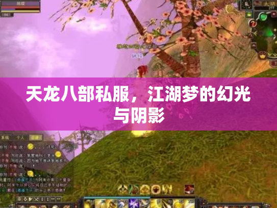 天龙八部私服，江湖梦的幻光与阴影