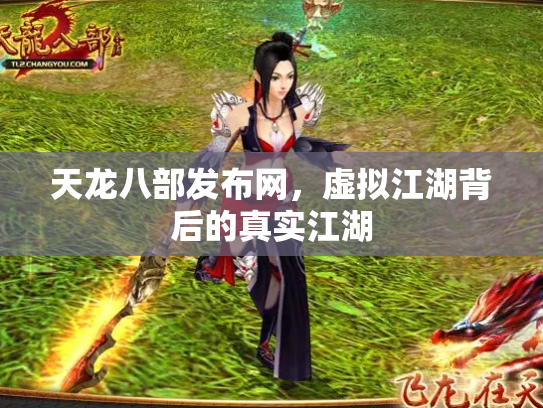 天龙八部发布网，虚拟江湖背后的真实江湖