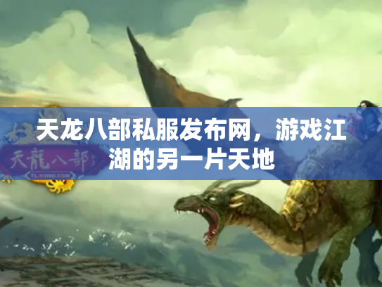 天龙八部私服发布网，游戏江湖的另一片天地