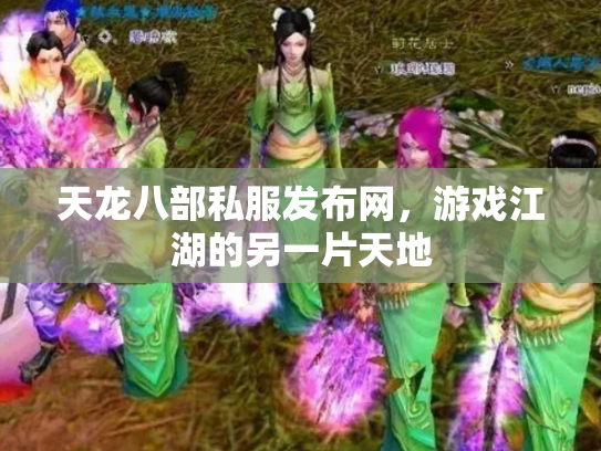 天龙八部私服发布网，游戏江湖的另一片天地