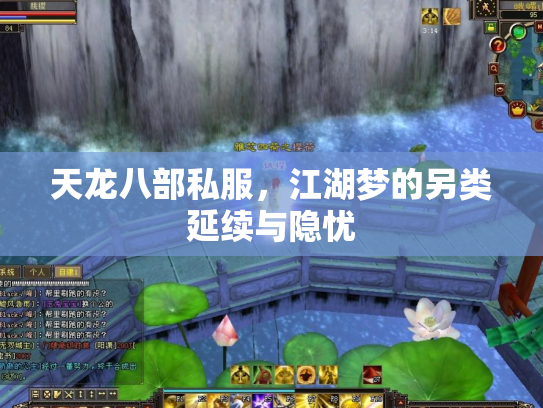 天龙八部私服，江湖梦的另类延续与隐忧