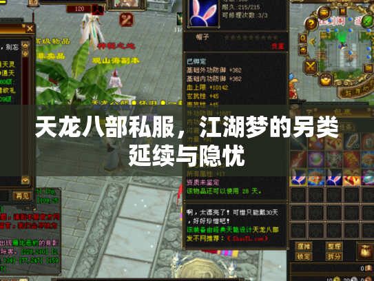 天龙八部私服，江湖梦的另类延续与隐忧