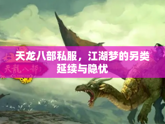 天龙八部私服，江湖梦的另类延续与隐忧