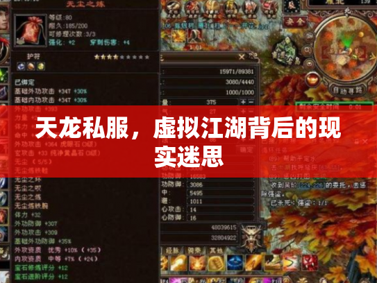 天龙私服，虚拟江湖背后的现实迷思