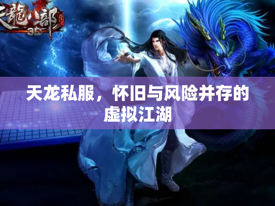 天龙私服，怀旧与风险并存的虚拟江湖