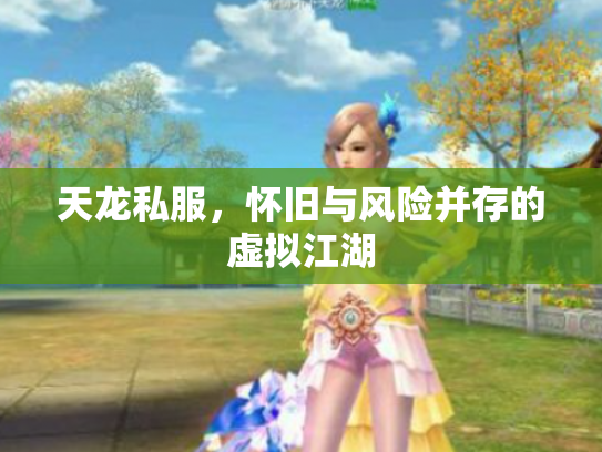 天龙私服，怀旧与风险并存的虚拟江湖