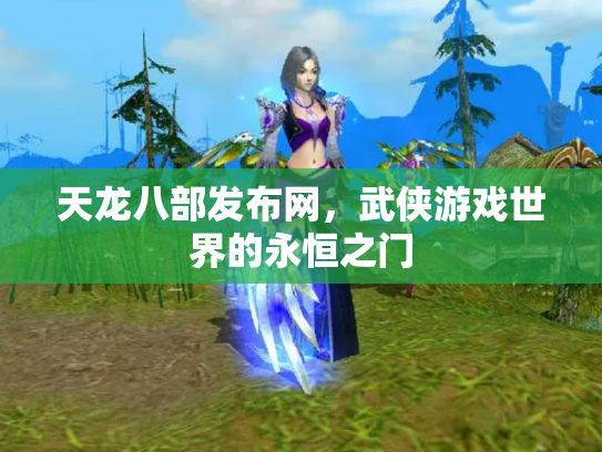 天龙八部发布网，武侠游戏世界的永恒之门