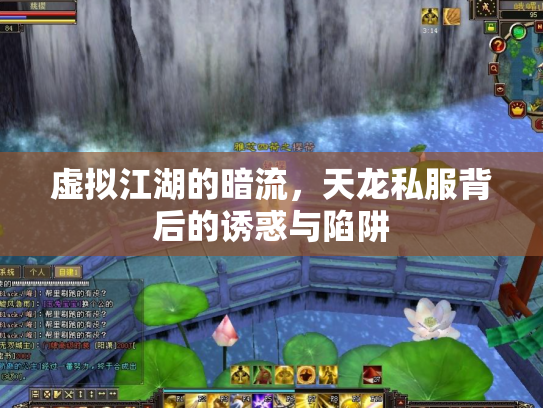 虚拟江湖的暗流，天龙私服背后的诱惑与陷阱