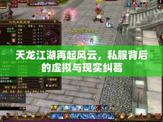 天龙江湖再起风云，私服背后的虚拟与现实纠葛