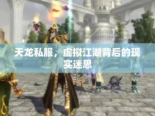天龙私服，虚拟江湖背后的现实迷思