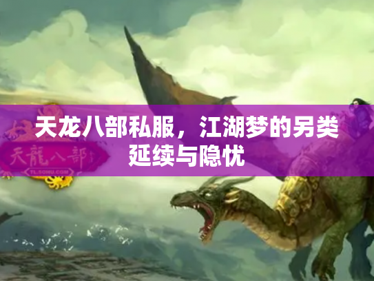 天龙八部私服，江湖梦的另类延续与隐忧