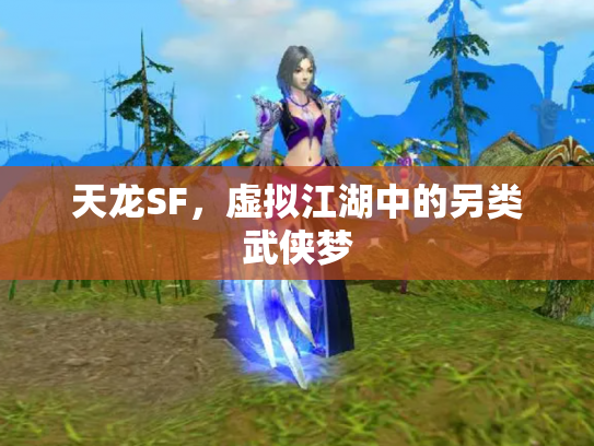 天龙SF，虚拟江湖中的另类武侠梦