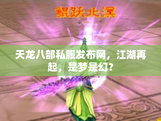 天龙八部私服发布网，江湖再起，是梦是幻？