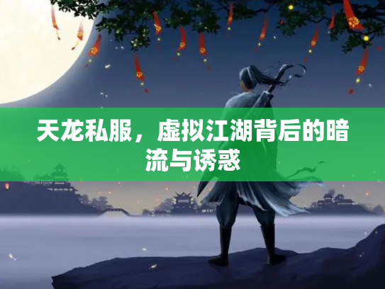 天龙私服，虚拟江湖背后的暗流与诱惑