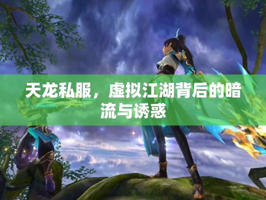 天龙私服，虚拟江湖背后的暗流与诱惑