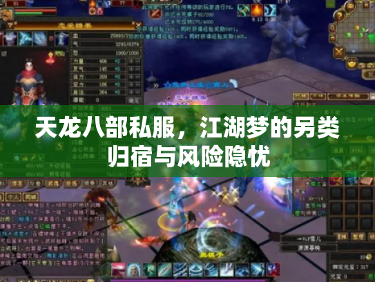 天龙八部私服，江湖梦的另类归宿与风险隐忧