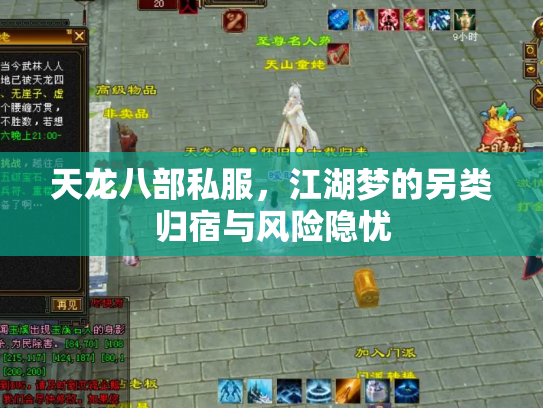天龙八部私服，江湖梦的另类归宿与风险隐忧