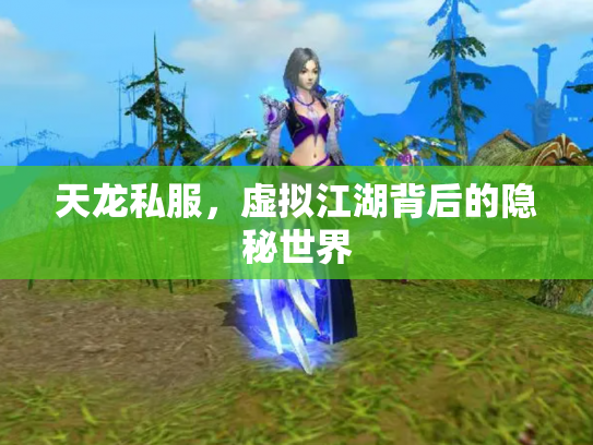 天龙私服，虚拟江湖背后的隐秘世界