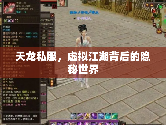 天龙私服，虚拟江湖背后的隐秘世界
