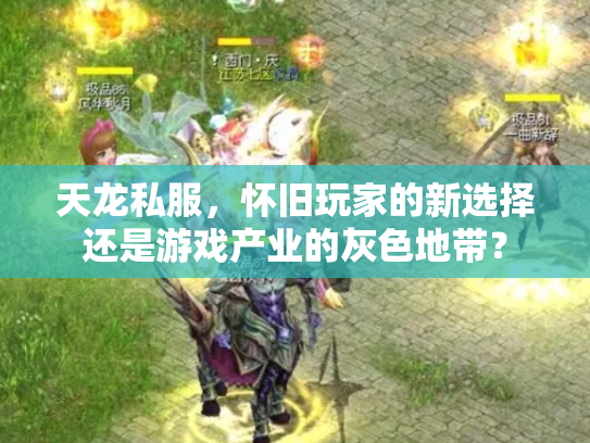 天龙私服，怀旧玩家的新选择还是游戏产业的灰色地带？