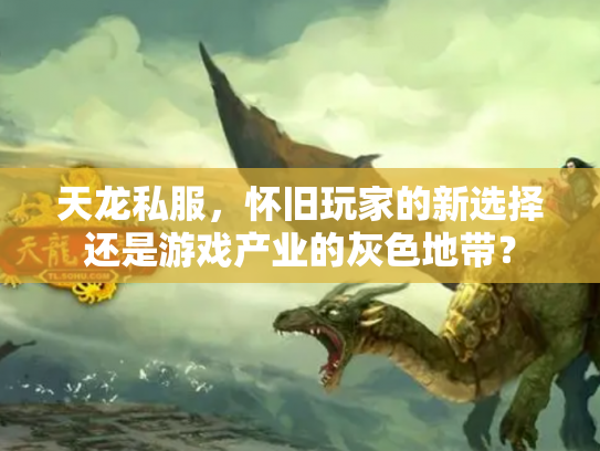 天龙私服，怀旧玩家的新选择还是游戏产业的灰色地带？