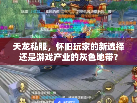 天龙私服，怀旧玩家的新选择还是游戏产业的灰色地带？