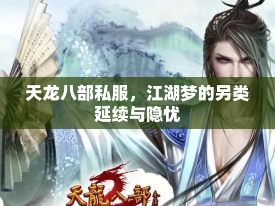 天龙八部私服，江湖梦的另类延续与隐忧