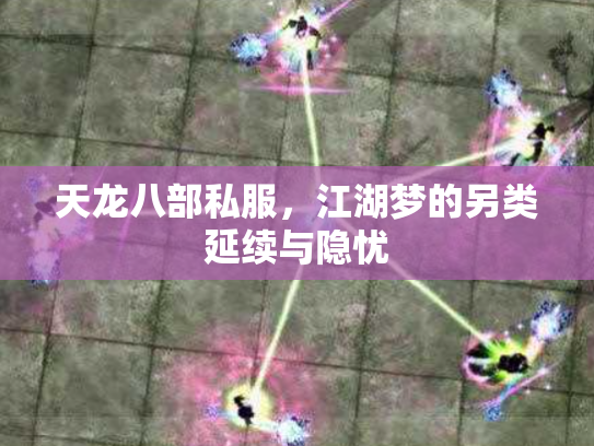 天龙八部私服，江湖梦的另类延续与隐忧
