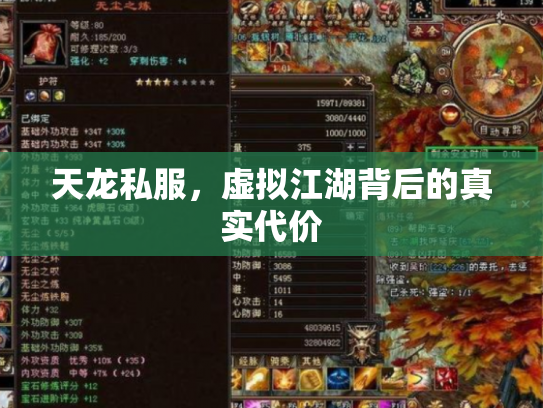 天龙私服，虚拟江湖背后的真实代价