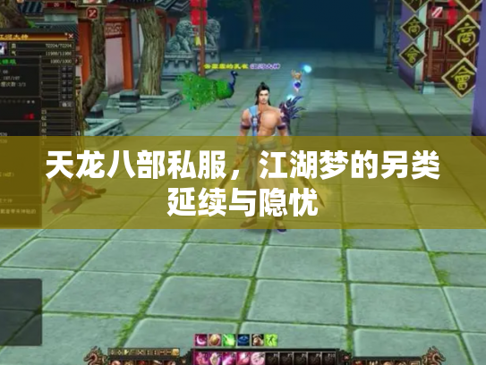 天龙八部私服，江湖梦的另类延续与隐忧