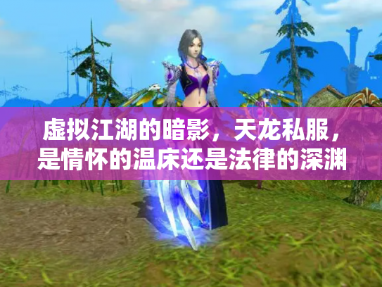 虚拟江湖的暗影，天龙私服，是情怀的温床还是法律的深渊？
