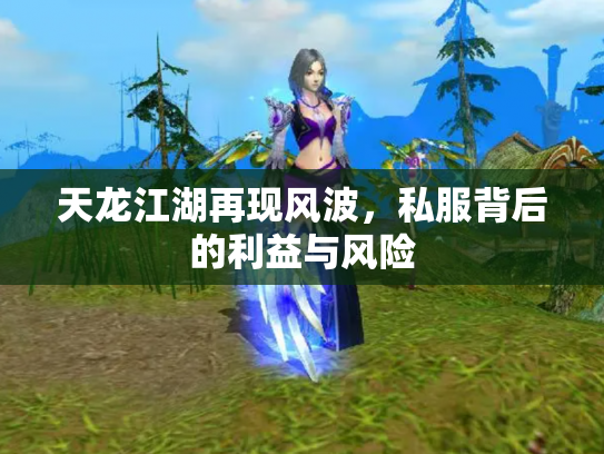 天龙江湖再现风波，私服背后的利益与风险