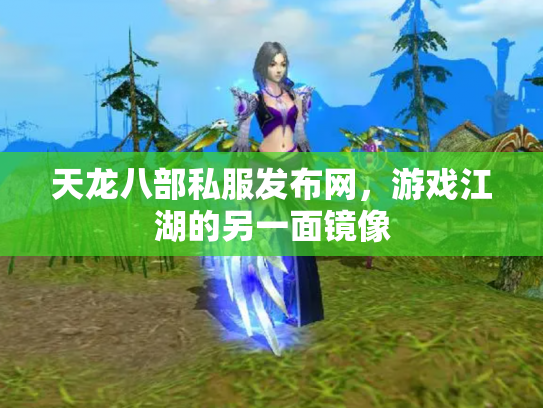 天龙八部私服发布网，游戏江湖的另一面镜像