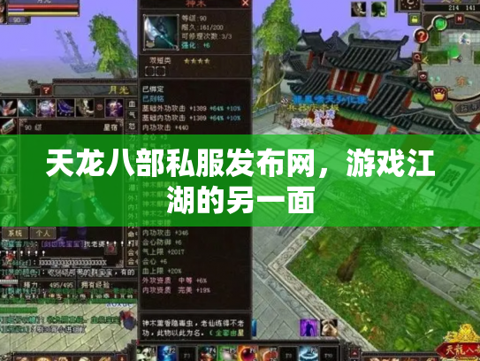 天龙八部私服发布网，游戏江湖的另一面