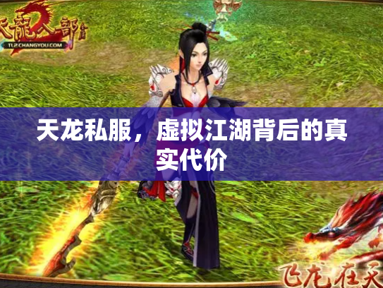 天龙私服，虚拟江湖背后的真实代价