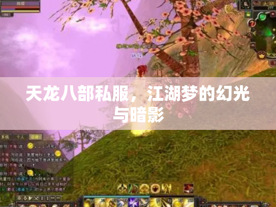 天龙八部私服，江湖梦的幻光与暗影